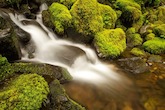 Transgender spirituality